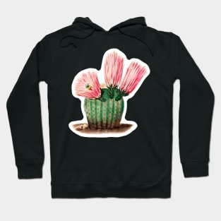 Gymnocalycium uruguayense cactus Hoodie